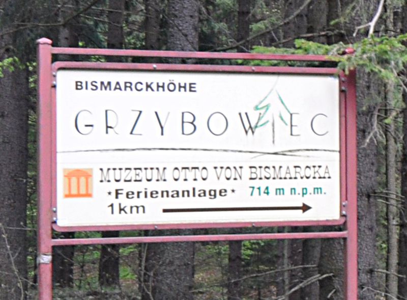 Grzybowiec