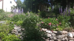 Zdjcie apartamentu Wczasowisko Karola Domki i Apartamenty