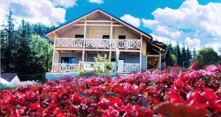 Zdjcie apartamentu Apartamenty Karkonoskie