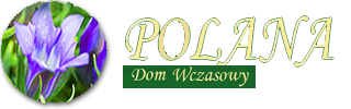 logo Polana